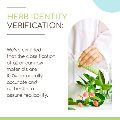 HerbEra Dandelion Root B120 Alcohol-Free Herbal Extract Tincture, Super-Concentrated Dandelion Taraxacum Officinale Dried Root 4 fl oz