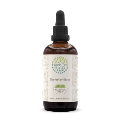HerbEra Dandelion Root B120 Alcohol-Free Herbal Extract Tincture, Super-Concentrated Dandelion Taraxacum Officinale Dried Root 4 fl oz