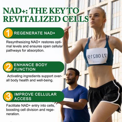 APU.FAIRY NAD Supplement,NMN Supplement,Extra Strength NMN Alternative Liposomal,Boost NAD &amp; Resveratrol for Women &amp; Men,Energy Anti-Aging,Cell Regeneration,120 Capsules Pack of 1