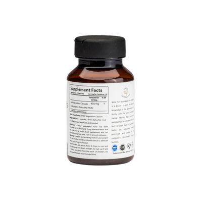 bixa BOTANICAL Ayurvedic Natural Herbal Supplement Andrographis Kalmegh Extract 20 Andrographolide Natural Liver Tonic for Healthy Immunity 450mg Veg Capsules 60 Count Pack of 1