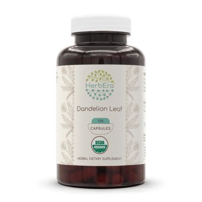 HerbEra Dandelion Leaf 120 Capsules, 500 mg, USDA Organic Dandelion Taraxacum Officinale Dried Leaf 120 Capsules