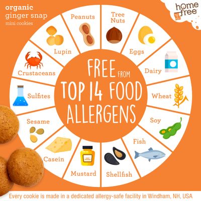 Homefree Treats You Can Trust Organic Ginger Snap Cookies, Gluten Free, Nut Free, 3x 1LB bags
