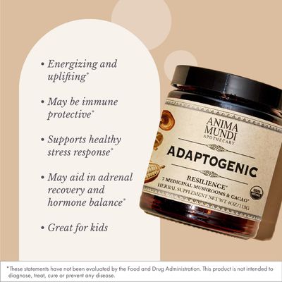 Anima Mundi Apothecary Organic Mushroom Supplement - Adaptogenic Mushrooms Cacao - Uplifting Powder with Organic Lion's Mane, Shiitake, Chaga & More - Add to Coffee, Tea & Smoothies 4oz 113g