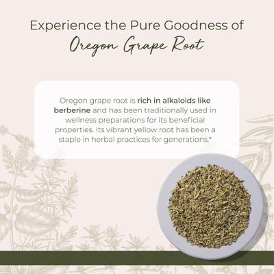 Oregon Grape Root CS Wildcrafted - 4 oz