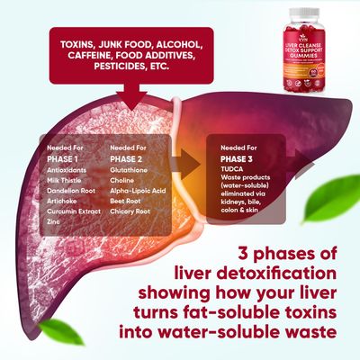 VVNaturals Sugar-Free 26-in-1 Liver Cleanse Detox &amp; Repair Fatty Liver Formula Gummies; 3000mg Blend of Glutathione, Silymarin Milk Thistle, Choline, TUDCA Liver Detox Gummies - 60 Vegan Ct