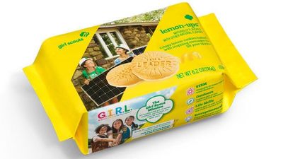Generic Girl Scout Lemon Ups - 2 boxes