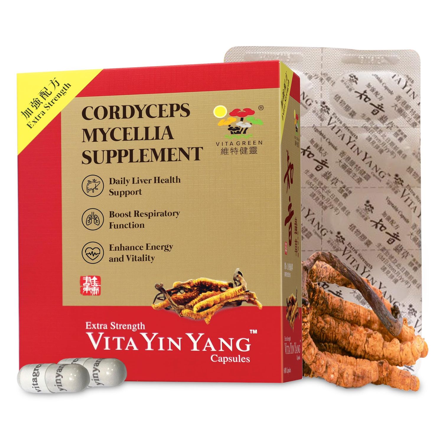 Vita Green Yin Yang Cordyceps Mycelium Herbal Supplement - Supports Respiratory Wellness, Energy, and Liver &amp; Kidney Health - 60 Capsules