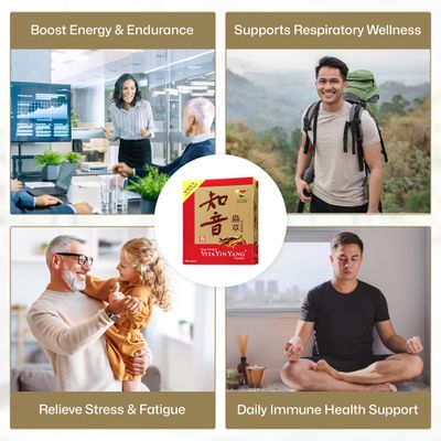 Vita Green Yin Yang Cordyceps Mycelium Herbal Supplement - Supports Respiratory Wellness, Energy, and Liver &amp; Kidney Health - 60 Capsules