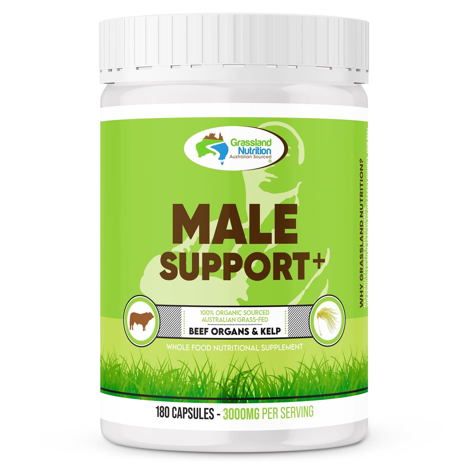 GRASSLAND NUTRITION 100 Organic Australian: Male Support Blend of Beef Organs - B12, CoQ10, Iodine 180 Capsules