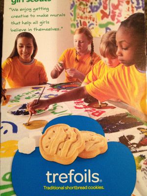 Girl Scout Cookies-Trefoils Old Fashion Shortbread 2 Boxes