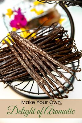 10 Organic Madagascar Vanilla Beans Grade A Bourbon Vanilla Pods Gourmet Whole Vanilla Beans for Baking, Cooking & Extract Making Rich Aroma & Flavor