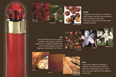 Perry Ellis 360 Women mini gift set - 4-pack of .25 fl oz EDP travel sprays 360 Women, 360 Coral, 360 Purple, 360 Red