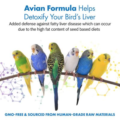 Avian Milk Thistle Dandelion Root Dietary Supplement for Parrots, All-Natural Liver Formula 120 Servings