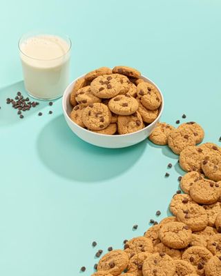 Gluten Free Cookie Variety Pack by Partake Foods Vegan Dairy Free, Peanut Free, Egg Free, Wheat Free Allergy Friendly Cookies Safe School Snack for Kids 5.5 Ounce Pack of 3, GrahamsWafersSoft Cooki...