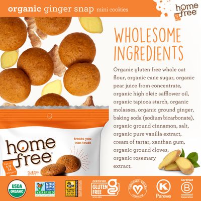 Homefree Mini Ginger Snap Cookies, Organic, Gluten Free, Nut Free, Vegan, Individually Wrapped Packs, School Safe and Allergy Friendly Snack, 0.95 oz. Pack of 10