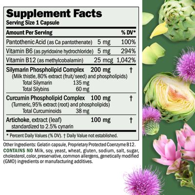 ANDREW LESSMAN Liver Anti-Oxidant Extracts 30 Capsules - Supports The Hard-Working Tissues of The Liver, Promotes Optimum Liver Health and Function. Milk Thistle, Turmeric and Artichoke Extracts