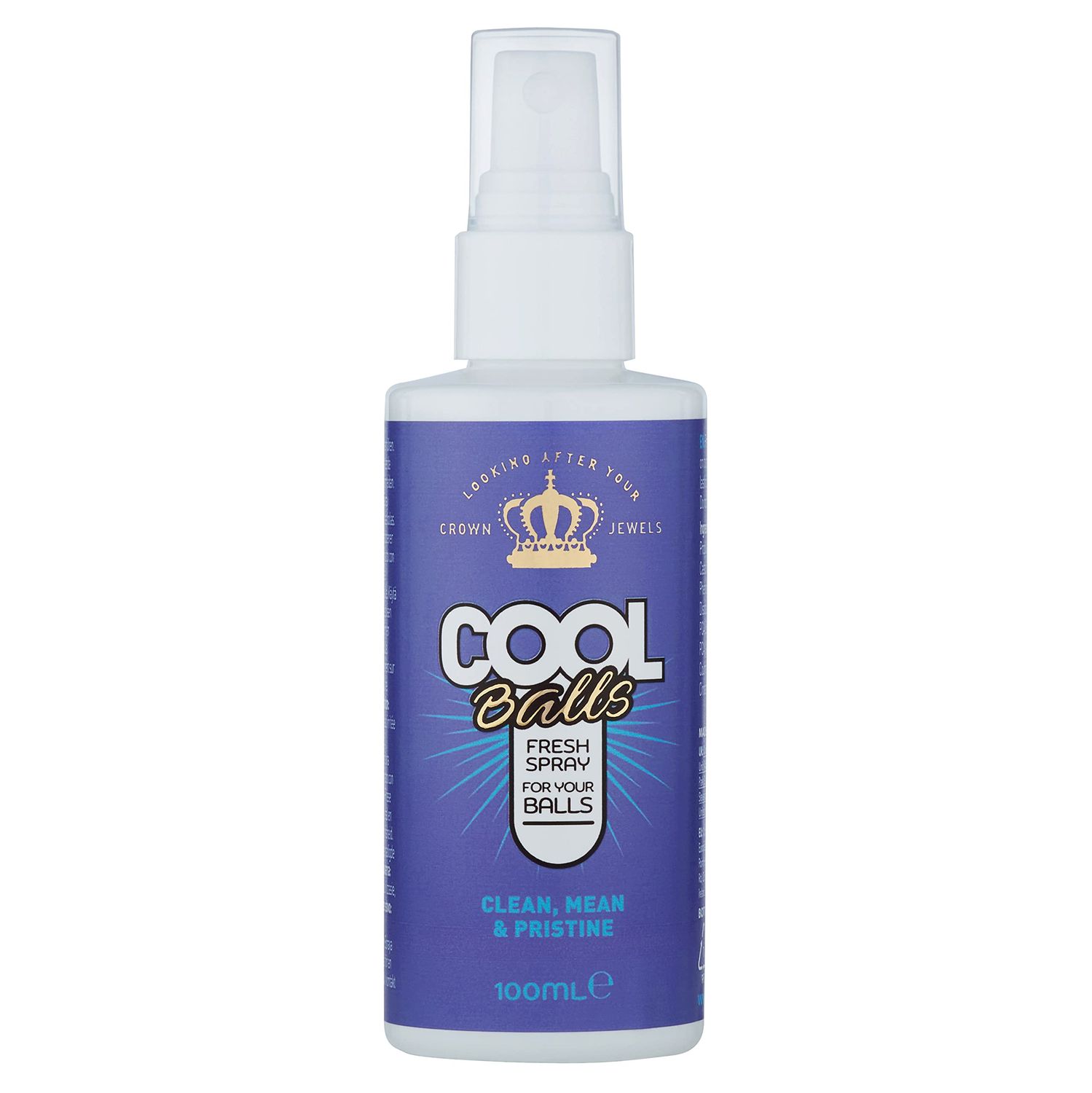 Fresh Body Spray Instant Clean 3.38 fl oz Funny Stocking Stuffer, Christmas Gift for Men Great for Sports, Gym, Travel, and Daily Use