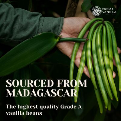 PREMA VANILLA Madagascar Vanilla Beans, Grade A Bourbon Pods For Making Vanilla Extract, Good For Cooking And Baking, Rich and Intense Aroma, Pack of 10 Beans Plus 1 Gift Bean