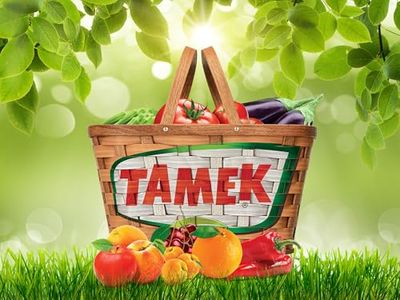 Tamek Traditional Paste Hot Pepper Paste 540 gr