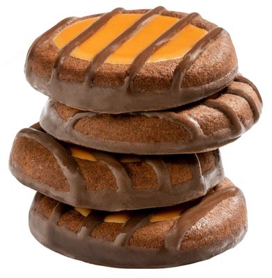 Girl Scouts Cookies, Adventurefuls, 16 cookies per box 2 Pack