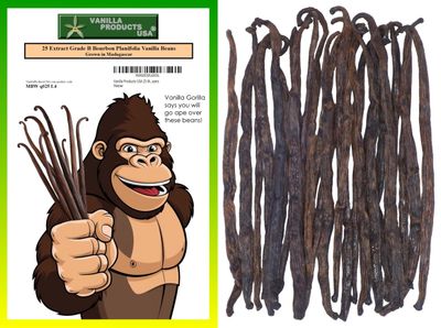 Vanilla Products USA 25 Whole Madagascar Bourbon Planifolia Extract Grade B Vanilla Beans