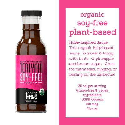 SAUCE SOY FREE TERIYAKI