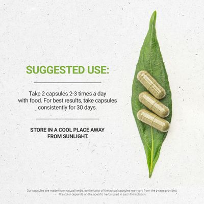 Secrets of the Tribe Artichoke 120 Capsules, 1000 mg, Artichoke Cynara scolymus Dried Leaf 120 Capsules