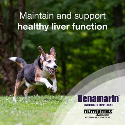 Nutramax Laboratories Denamarin Liver Health Supplement for Medium Dogs - With S-Adenosylmethionine SAMe and Silybin, 30 Tablets