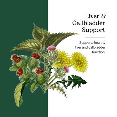 ECLECTIC INSTITUTE Raw Freeze-Dried Non-GMO Organic Liver and Gallbladder Support Whole Food Powder with Milk Thistle, Beet Juice, Dandelion, Turmeric, Cinnamon 90 Grams