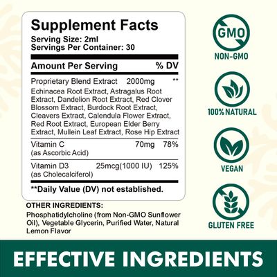 Liposomal Lymphatic Drainage Liquid Drops - Lymphatic Support Supplement with Dandelion Root, Cleavers, Echinacea, Calendula for Immune, Detox Cleanse, Lymph System Support, Lemon Flavor, 2 Fl Oz