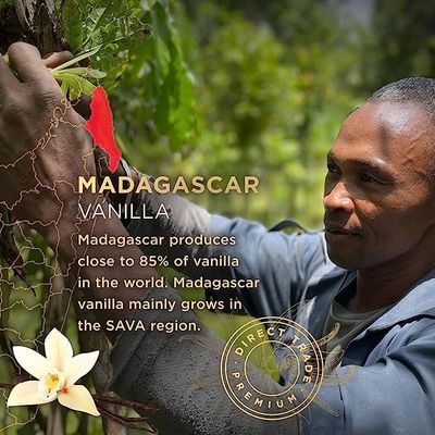 SAVA Madagascar Vanilla Extract - 100 Pure Vanilla Extract from High-Quality Madagascar Vanilla Beans - No Sugar Added Gourmet Vanilla Extract - Baking Supplies 2 Oz 2 Pack