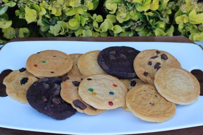 Realistic Food Replicas Assorted Fake Cookies in Traditional Flavors, Set of 12