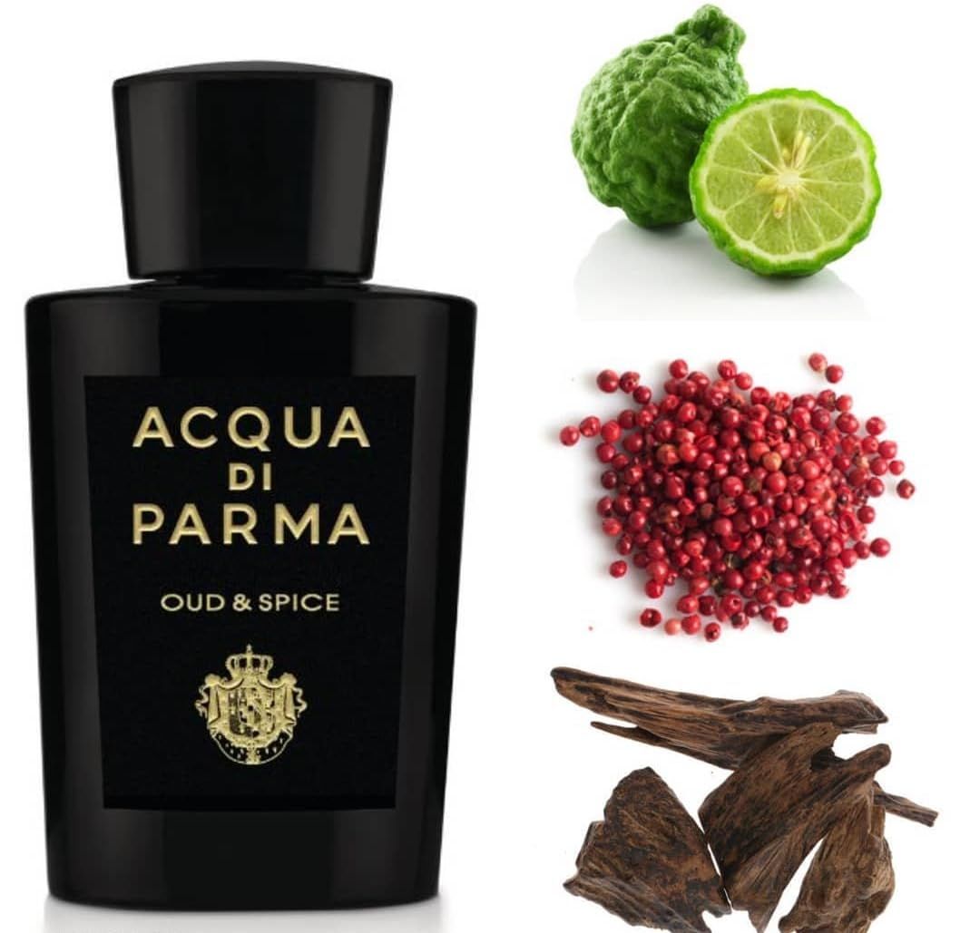 ACQUA DI PARMA OUD &amp; SPICE by Acqua di Parma, EAU DE PARFUM SPRAY 3.4 OZ