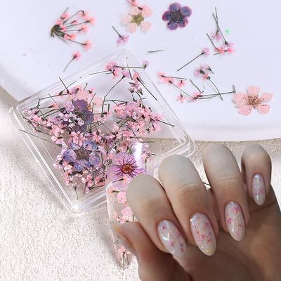 Dried Flowers for Nails Charms,Spring Flower Nail Art Stickers 1Box Dried Flowers for Resin Crafts, Mixed Natural Real Dry Flower Decals for Summer Floral Nail Decoration Sticker for Women