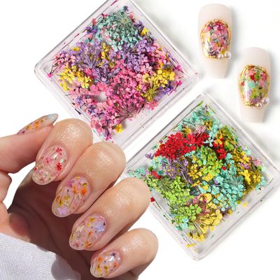 2Box 3D Dried Flowers Nail Stickers for Nail Art Resin Crafts Colorful Small Natural Floral Dried Flower Decals DIY Mini Mixed Petal Nail Sticker for Nails Design Manicure Accessories Nails Design