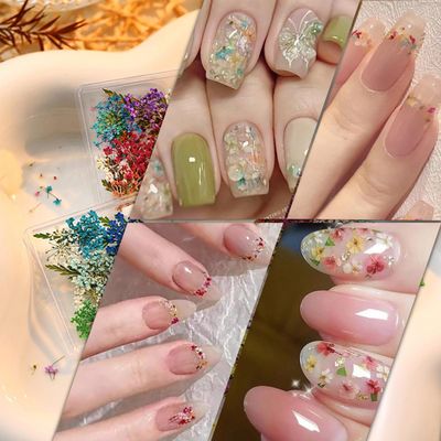 2Box 3D Dried Flowers Nail Stickers for Nail Art Resin Crafts Colorful Small Natural Floral Dried Flower Decals DIY Mini Mixed Petal Nail Sticker for Nails Design Manicure Accessories Nails Design
