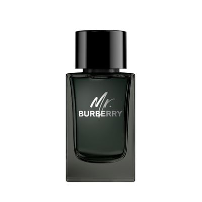Burberry Mr. Burberry Eau de Parfum 5 fl oz