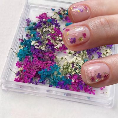 Dried Flowers for Nails, 1Box 3D Dried Flower Nail Sticker Mixed Natural Flower Nail Decals Small Dried Flowers Charms for Nails Art Resin DIY Craft Summer Nail Art Decorations