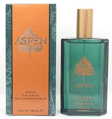 Aspen By COTY FOR MEN 4 oz Cologne Spray
