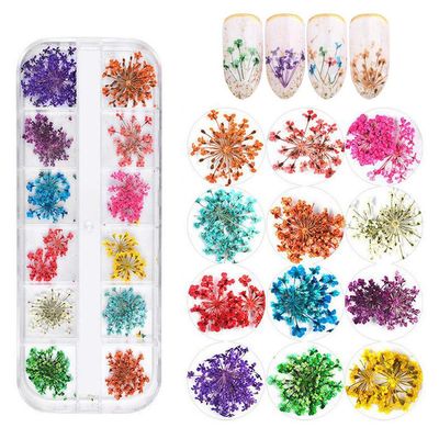 KINGMAS 12 Colors Dried Flowers for Nail Art, 1 Box Dry Flowers Mini Real Natural Flowers Nail Art Supplies 3D Applique Nail Decoration Sticker Decor (A)