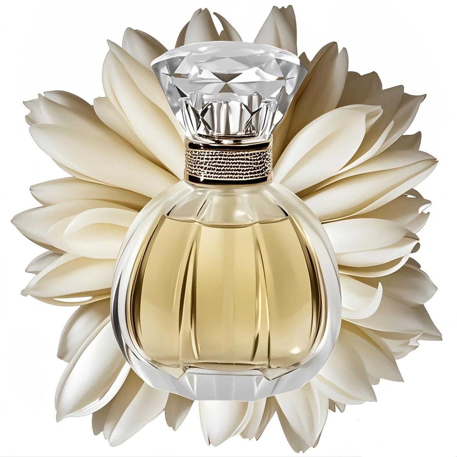 Parfumes Spray for Women Eau de perfumery sweet scent and light flavor perfumes de mujer originales 1.7 Ounce 50ml (Michelia Alba)