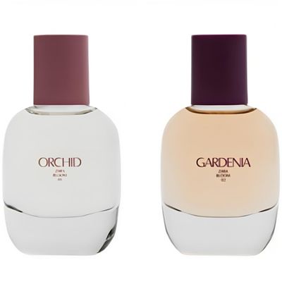 Zara Orchid Gardenia Perfume for Women Fragrance Set EDP Eau De Parfum 2x 30 ML (1.0 FL. OZ)
