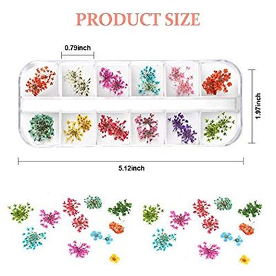 Teenior 24 Colors Nail Dried Flowers, 3D Nail Art Sticker for Tips Manicure Decor Mixed Accessories, Starry Leaves Flower (2 Boxes)