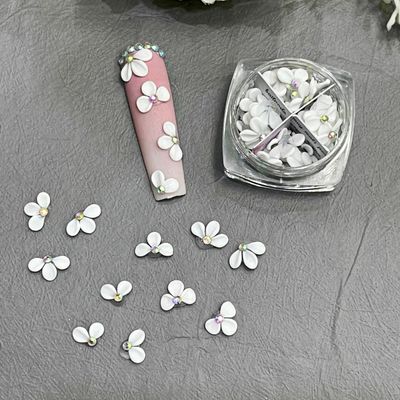 Set 50Pcs White 3D Flowers for Nails, Apricot Handmade 3D Acrylic Flowers for Nails, Flower Nail Charms Rhinestones Gems by Acrylic Powder Design Nail Art Women Girls (Apricot Tiny White - 50Pcs)