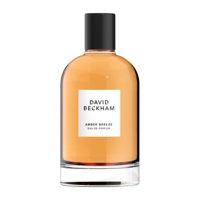 David Beckham Amber Breeze Eau de Parfum 3.3 fl oz (Pack of 1), Notes of Bergamot, Lavender, and Wood, Mens Fragrance, Long Lasting, Everyday Fragrance, Travel Size