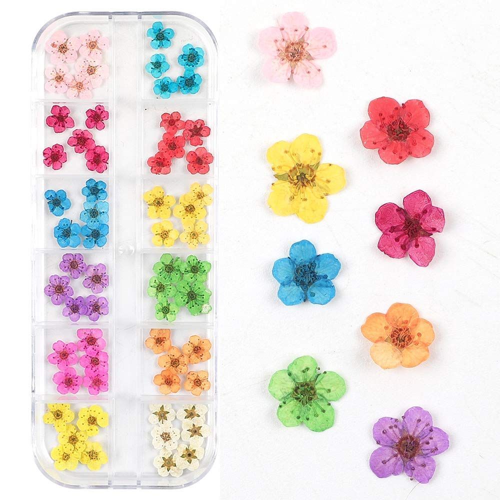 Valuu 3D Nail Dried Flowers Sticker60 Five Petal Flower 12 Colors Natural Real Dry Flower Nail Stickers 60 Flowers