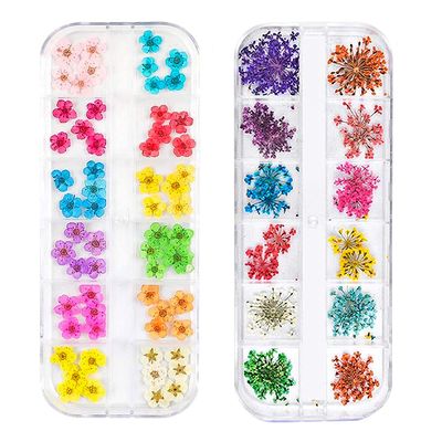 3D Nail Dried Flowers Sticker Set CHANGAR Real Dried Flowers for Nail Art &amp; Resin Craft DIY Five Petal Flower Leaf Gypsophila Dry Flower Nail Art Decoration Kits(2 Boxes)