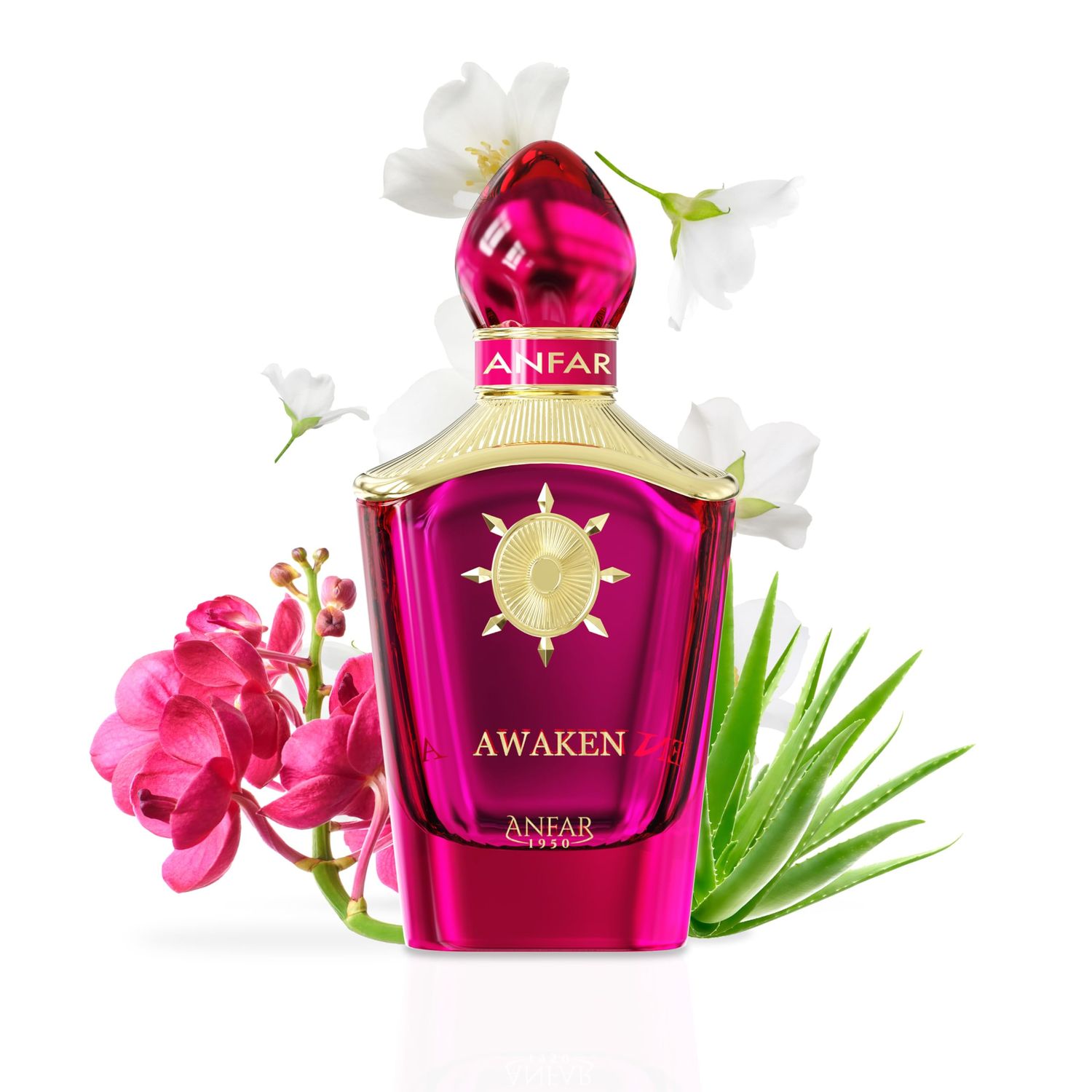 Anfar 1950 Awaken POUR FEMME Extrait de Parfum for Women, 3.4 fl oz, CITRUSES,BERGAMOT,ORCHID,HELIPTROPE,WOMEN,100ML