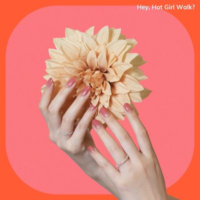 Heyhae Semi Cured Gel Nail Strips | No LED Lamp Needed | Ombre, Pink, Spring | Easy Apply &amp; Remove, Salon Quality | Includes 28 Strips, 1 Prep Pads, Nail File &amp; Wooden stick - Hey, Hot Girl Walk?