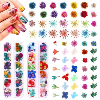 216PCS Dried Flowers - Nail Art Accessories Kits, 57 Color Lovely Natural Dried Flowers for Resin Molds and Nails, YWLI